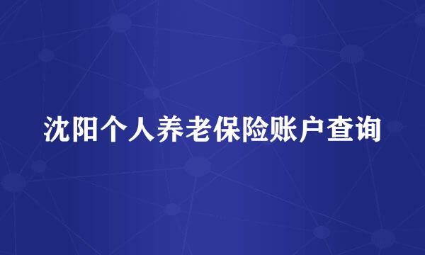 沈阳个人养老保险账户查询