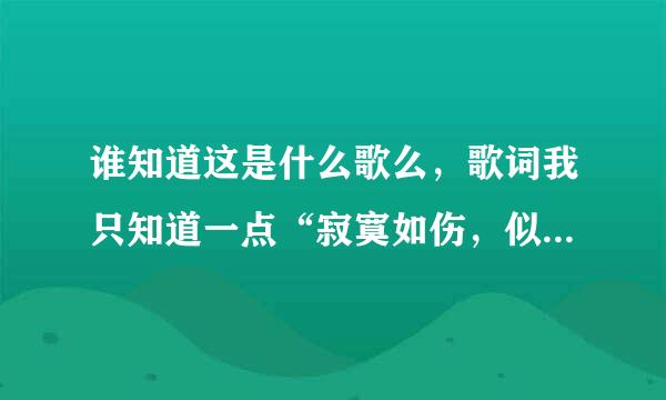 谁知道这是什么歌么，歌词我只知道一点“寂寞如伤，似月光，飘荡在每一个地方”