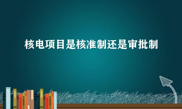 核电项目是核准制还是审批制