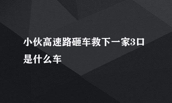 小伙高速路砸车救下一家3口 是什么车