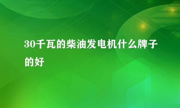 30千瓦的柴油发电机什么牌子的好