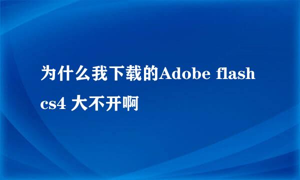 为什么我下载的Adobe flash cs4 大不开啊