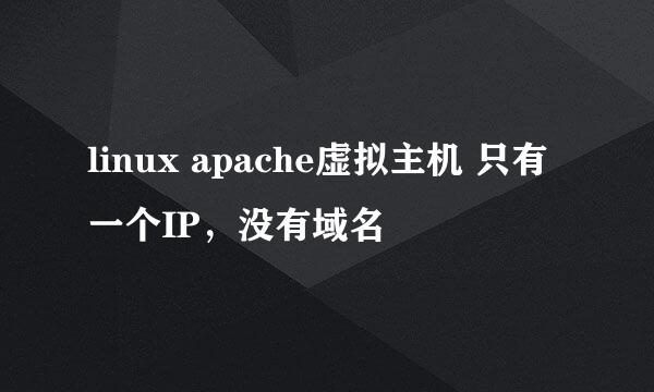 linux apache虚拟主机 只有一个IP，没有域名