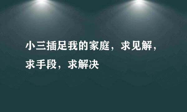 小三插足我的家庭，求见解，求手段，求解决