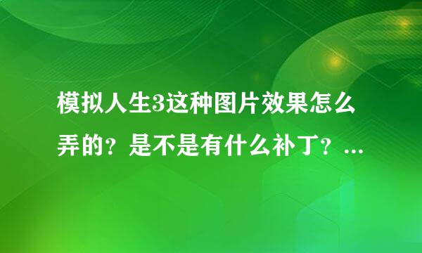 模拟人生3这种图片效果怎么弄的？是不是有什么补丁？急求！！！