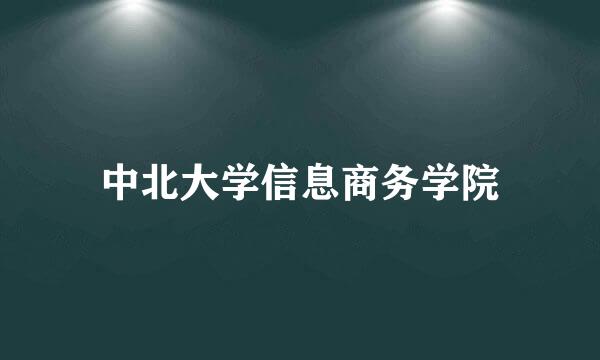 中北大学信息商务学院