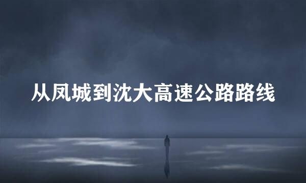 从凤城到沈大高速公路路线