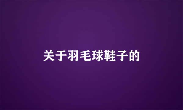 关于羽毛球鞋子的