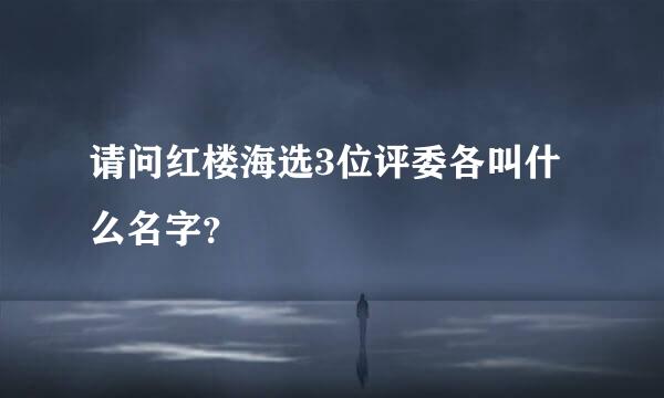 请问红楼海选3位评委各叫什么名字？