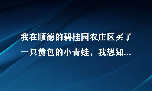 我在顺德的碧桂园农庄区买了一只黄色的小青蛙，我想知道它的学名叫什么？
