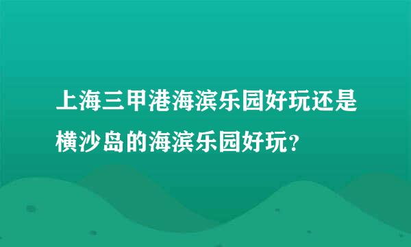 上海三甲港海滨乐园好玩还是横沙岛的海滨乐园好玩？