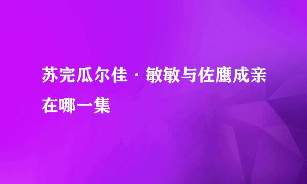 苏完瓜尔佳·敏敏与佐鹰成亲在哪一集