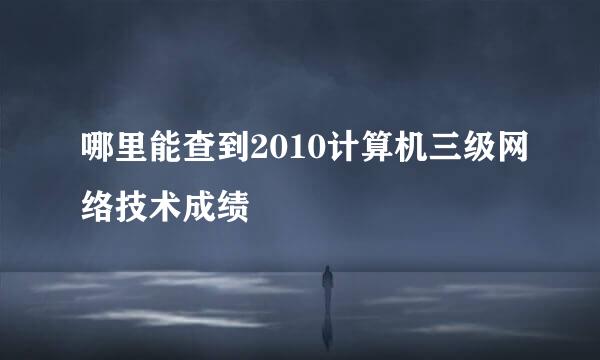 哪里能查到2010计算机三级网络技术成绩