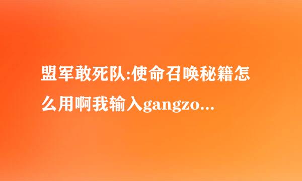 盟军敢死队:使命召唤秘籍怎么用啊我输入gangzoopera没反应啊