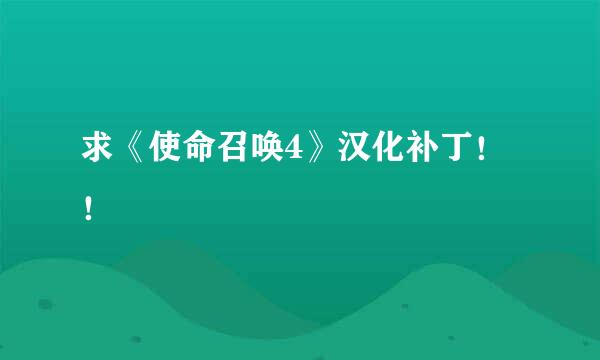 求《使命召唤4》汉化补丁！！