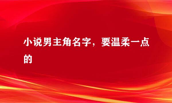 小说男主角名字，要温柔一点的