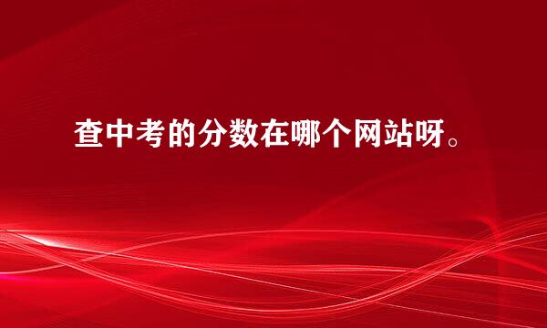 查中考的分数在哪个网站呀。