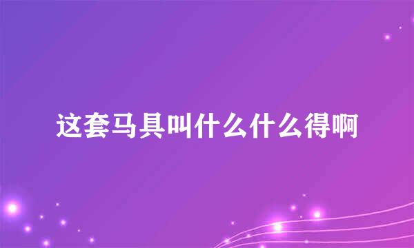 这套马具叫什么什么得啊