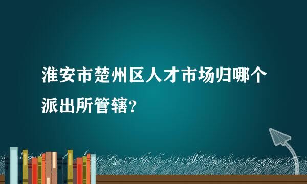 淮安市楚州区人才市场归哪个派出所管辖？