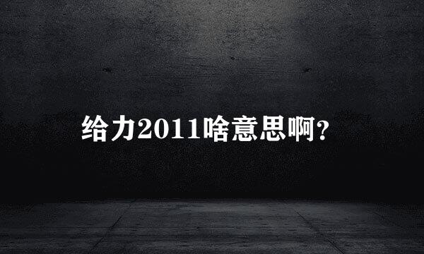 给力2011啥意思啊？