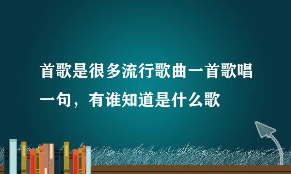 首歌是很多流行歌曲一首歌唱一句，有谁知道是什么歌