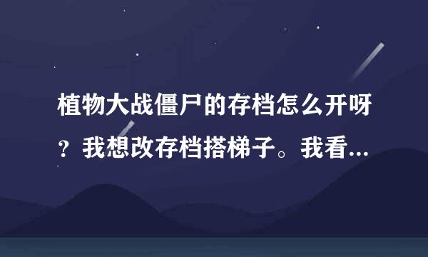 植物大战僵尸的存档怎么开呀？我想改存档搭梯子。我看别人都是在游戏初始界面打开了一个长方形的选项栏。