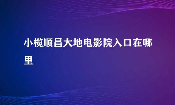 小榄顺昌大地电影院入口在哪里