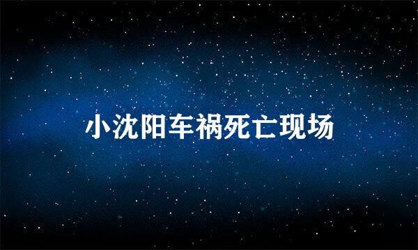 小沈阳车祸死亡现场