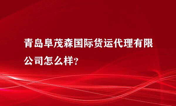 青岛阜茂森国际货运代理有限公司怎么样？