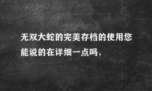 无双大蛇的完美存档的使用您能说的在详细一点吗，