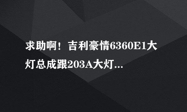 求助啊！吉利豪情6360E1大灯总成跟203A大灯总成通用一样吗