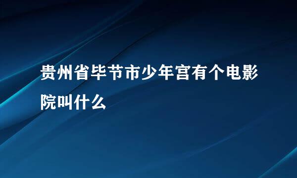 贵州省毕节市少年宫有个电影院叫什么