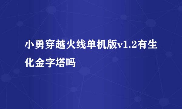 小勇穿越火线单机版v1.2有生化金字塔吗