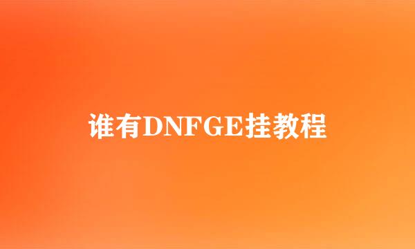 谁有DNFGE挂教程