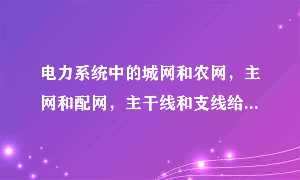 电力系统中的城网和农网，主网和配网，主干线和支线给我解释下.