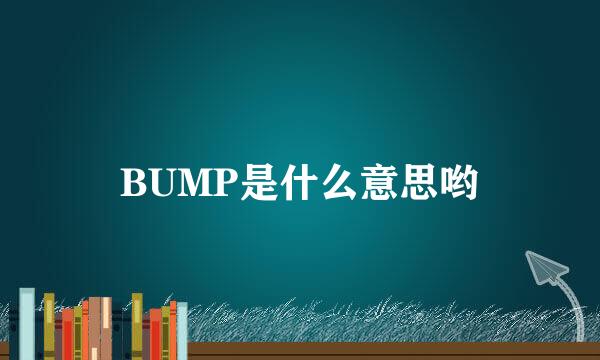 BUMP是什么意思哟