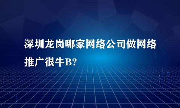 深圳龙岗哪家网络公司做网络推广很牛B?