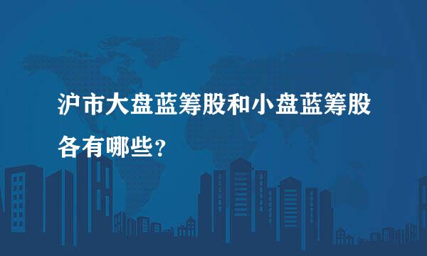 沪市大盘蓝筹股和小盘蓝筹股各有哪些？