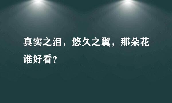 真实之泪，悠久之翼，那朵花谁好看？