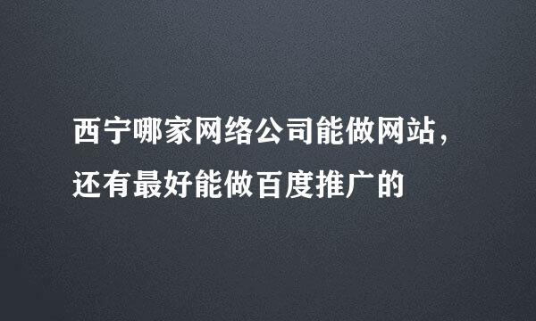 西宁哪家网络公司能做网站，还有最好能做百度推广的