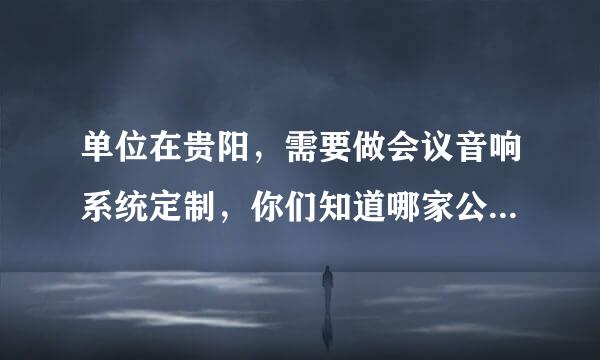 单位在贵阳，需要做会议音响系统定制，你们知道哪家公司好吗？