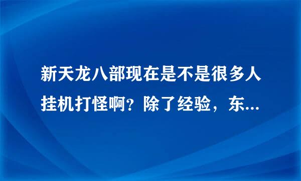 新天龙八部现在是不是很多人挂机打怪啊？除了经验，东西什么的捡不了，有什么用？