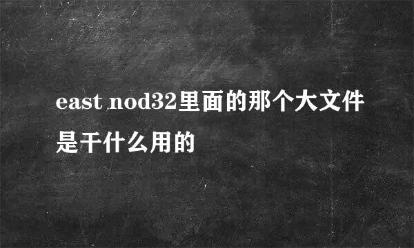 east nod32里面的那个大文件是干什么用的