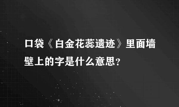 口袋《白金花蕊遗迹》里面墙壁上的字是什么意思？