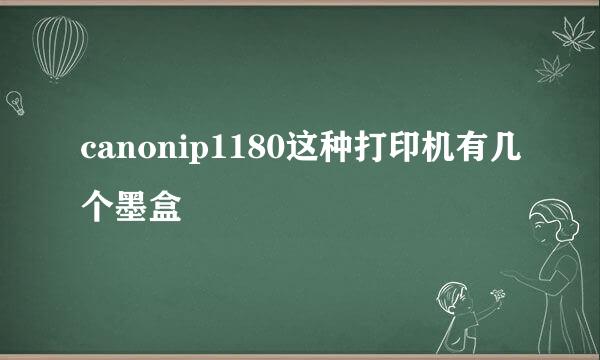 canonip1180这种打印机有几个墨盒