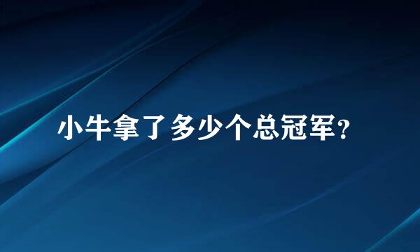 小牛拿了多少个总冠军？