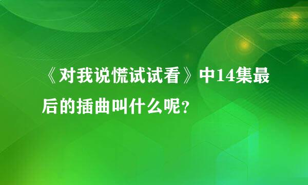 《对我说慌试试看》中14集最后的插曲叫什么呢？