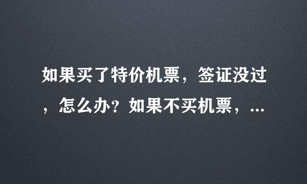 如果买了特价机票，签证没过，怎么办？如果不买机票，先办签证，能不能办？