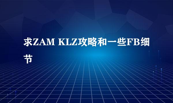 求ZAM KLZ攻略和一些FB细节