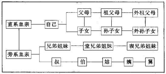 到派出所开具亲属关系证明不给开，怎么办？